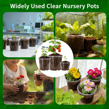 Plgardpo Clear Nursery Pots with Drainage, 5/6/7 Inch Nursery Plant Pots, Plastic Seedling Flower Pots for Indoor Plants, Transparent Planters for Indoor Plants, 15 Packs