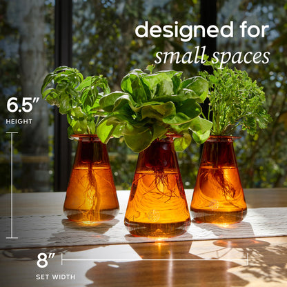 Lettuce Grow Counterstand Hydroponic Garden, Indoor Gardening System Hydroponics Growing System Kit, Herb Garden Planter Indoor Kit Countertop Vase Style No Grow Light