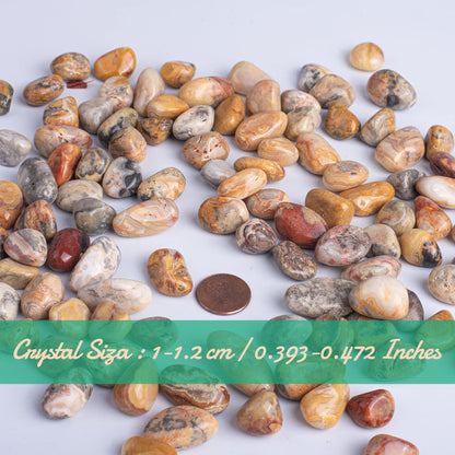 SigMntun Polished Crazy Lace Agate Crystal Chips Set, 0.4", 128 Pcs - 10 Oz Handpicked Tumbled Stones and Crystals Bulk for Healing, Reiki, Meditation, Witchcraft and Home Decor