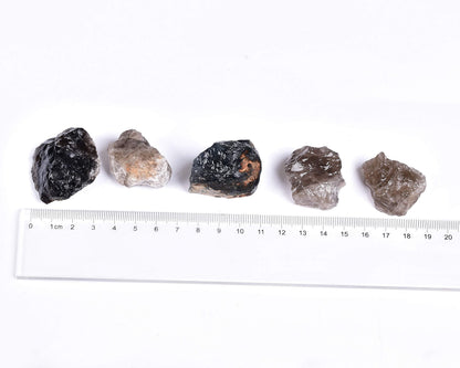 JIC Gem 12-16Pcs 0.7 Lbs irregular shape unpolished raw Madagascar natural Smoky Quartz Crystals and Healing Stones,0.32KG Gemstone Crystal Bulk rough Stones