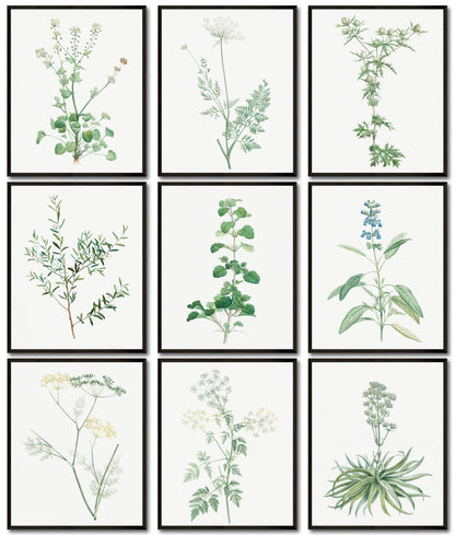 LANCHI95 botanical wall art - Minimalist Aesthetic Rose Collection, Bedroom Wall Art, Sage Green Eucalyptus Leaf Prints for Office (9pcs- 8x10in- UNFRAMED) (Botanical)