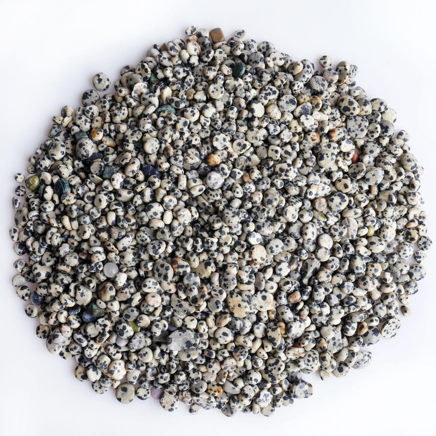 Sisamn 3Lb Dalmatian Jasper Tumbled Polished Pebbles Small 5mm-8mm Natural Spotted Stones for Jewelry Making, Crafts, Home Decor, Crystal Grids, Positive Energy Gifts Bulk Stones