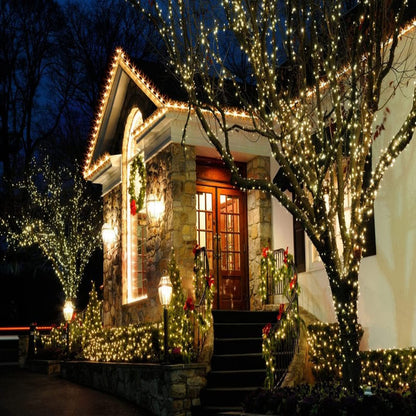Wominoy 25ft 50 Counts Warm White LED Christmas Lights - Commercial Grade Outdoor Waterproof, Green Wire, Xmas Tree Lights, IP:65, UL