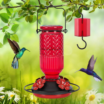 FEED GARDEN Glass Hummingbird Feeder, 16oz Outdoor Hanging Bird Feeder with Ant Moat, 4 Bee-Proof Feeding Ports, 360° Perch, Leak-Proof, Red