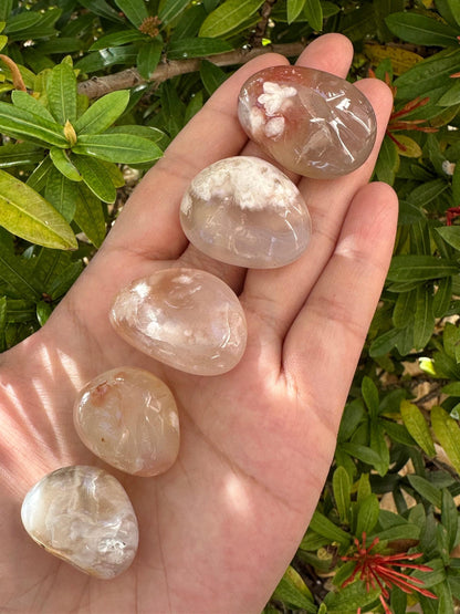 GAF TREASURES 5 Pcs Bloodstone Tumbled Stones, Polished Natural Bloodstone Gemstone, Bloodstone Healing Crystals (Bloodstone)