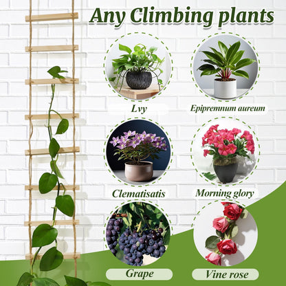 GOOOXIM Chain Trellis for Climbing Plants Indoor – Natural Wood Ladder Style Plant Support for Vines, Ideal for Pothos & Ivy, Stylish Modern Design for Home & Garden Use, Indoor/Outdoor
