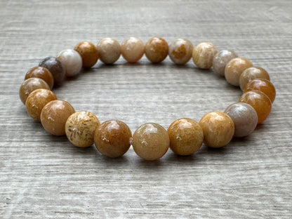 GAF TREASURES Fossil Coral Crystal Bead Bracelet 8mm, Genuine Fossil Coral Stretch Gemstone Bracelet, Healing Crystal Bracelet, Gift for Men & Women (1)