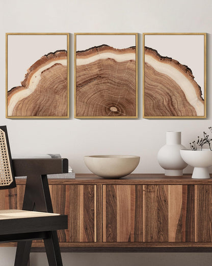 KUVIOKE Framed Tree Rings Wood Wall Art Modern Retro Beige Wood Stump Wall Decor Nature Rustic Artwork for Farmhouse Living Room Bedroom Decor 12x16in (Natural Framed)