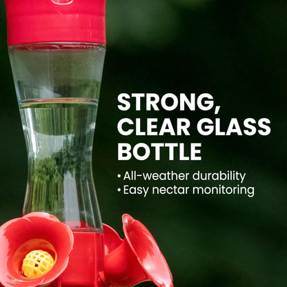 Perky-Pet Glass Hummingbird Feeders for Outdoors with Ant Moat, Bee Guards, & Perches, 8oz Nectar Capacity, Wide-Mouth Bottle for Easy Filling & Cleaning, Outdoor Garden Décor, 203CPBN-2 (Pack of 2)