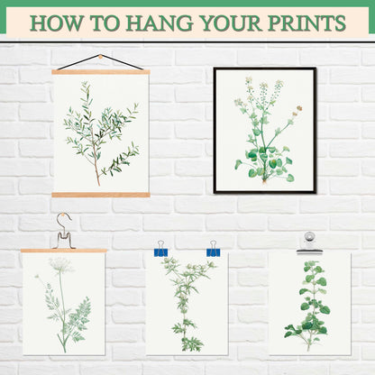 LANCHI95 botanical wall art - Minimalist Aesthetic Rose Collection, Bedroom Wall Art, Sage Green Eucalyptus Leaf Prints for Office (9pcs- 8x10in- UNFRAMED) (Botanical)