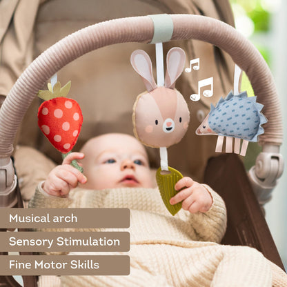 Taf Toys Activity Arch - Ideal for Infants & Toddlers, Fits Stroller & Pram, Stimulates Baby’s Senses, Easier Outdoors (Musical Bunny Arch)
