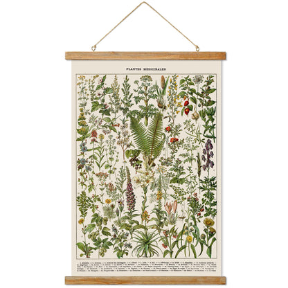 Ovfovy Vintage Botanical Fern Varieties Poster, Retro Style Art Prints with Wood Frames, for Schools, Homes, Ready to Hang
