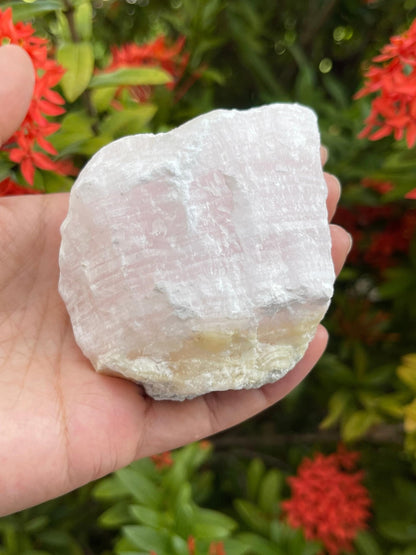 GAF TREASURES XL Pink Calcite Raw Stone, 3-4" Natural Calcite Healing Crystal (Pink Calcite, 0.5-1 lb)
