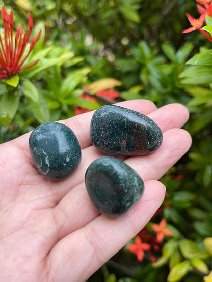 GAF TREASURES 5 Pcs African Bloodstone Tumbled Stones, Polished African Bloodstone Gemstone, African Bloodstone Healing Crystals (African Bloodstone)