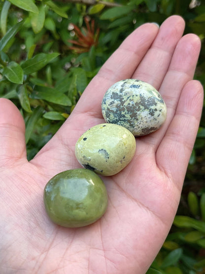WHOLESALE Serpentine Tumbled Stones, Polished Serpentine Gemstone, Serpentine Polished Rocks (Serpentine, 0.25 Pound)