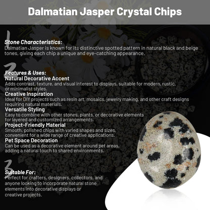1.1lb Natural Crushed Dalmatian Jasper Crystal Tumbled Chips-Healing Crystals Chips Bulk, Crushed Crystal Gemstones for Crafts, Beautiful Package for Gift (Dalmatian Jasper)