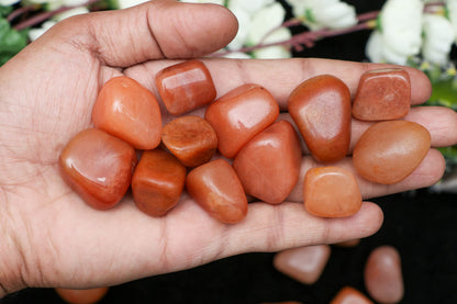 Crocon 1LB Red Aventurine Tumbled Stones and Crystals Bulk 2000+ carats, Polished Stones - Rock Collection - vase Filler tumbles Crystals Healing Reiki - Gemstone Gifts, Fountain tumbles Size 20 mm