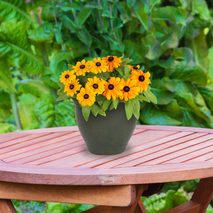 Sunnydaze Round Ceramic Planter - Set of 2 Indoor or Outdoor Plant Pots with Drainage Hole - Studio - 9" - Gray Glaze