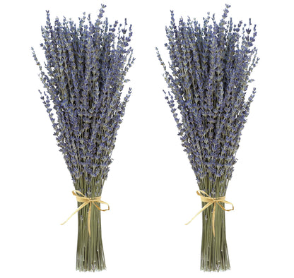 Dried Lavender 2 Bunches 100% Fresh Natural Purple Bouquet Flowers for Bathroom Photo Props Crafts Decoration, 15-17" for Shower Weeding Vase Decor, Home Fragrance(200-220 Stems(100g/3.5oz Total))
