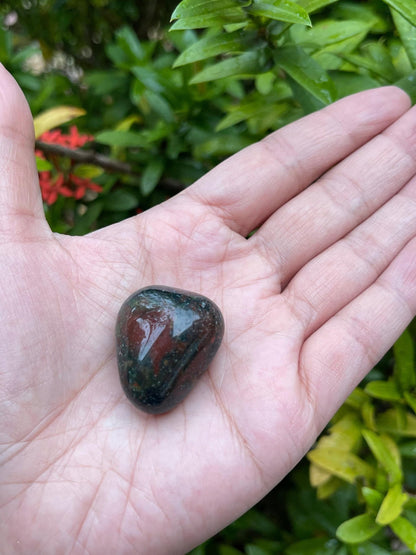 GAF TREASURES 5 Pcs African Bloodstone Tumbled Stones, Polished African Bloodstone Gemstone, African Bloodstone Healing Crystals (African Bloodstone)