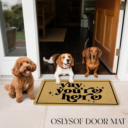 OSLYSOF Funny Welcome Door Mat, Yay You're Here Doormat for Front Door Indoor Outdoor Porch Entrance Entryway, Funny Welcome Mat Outside, 17x30 Inches