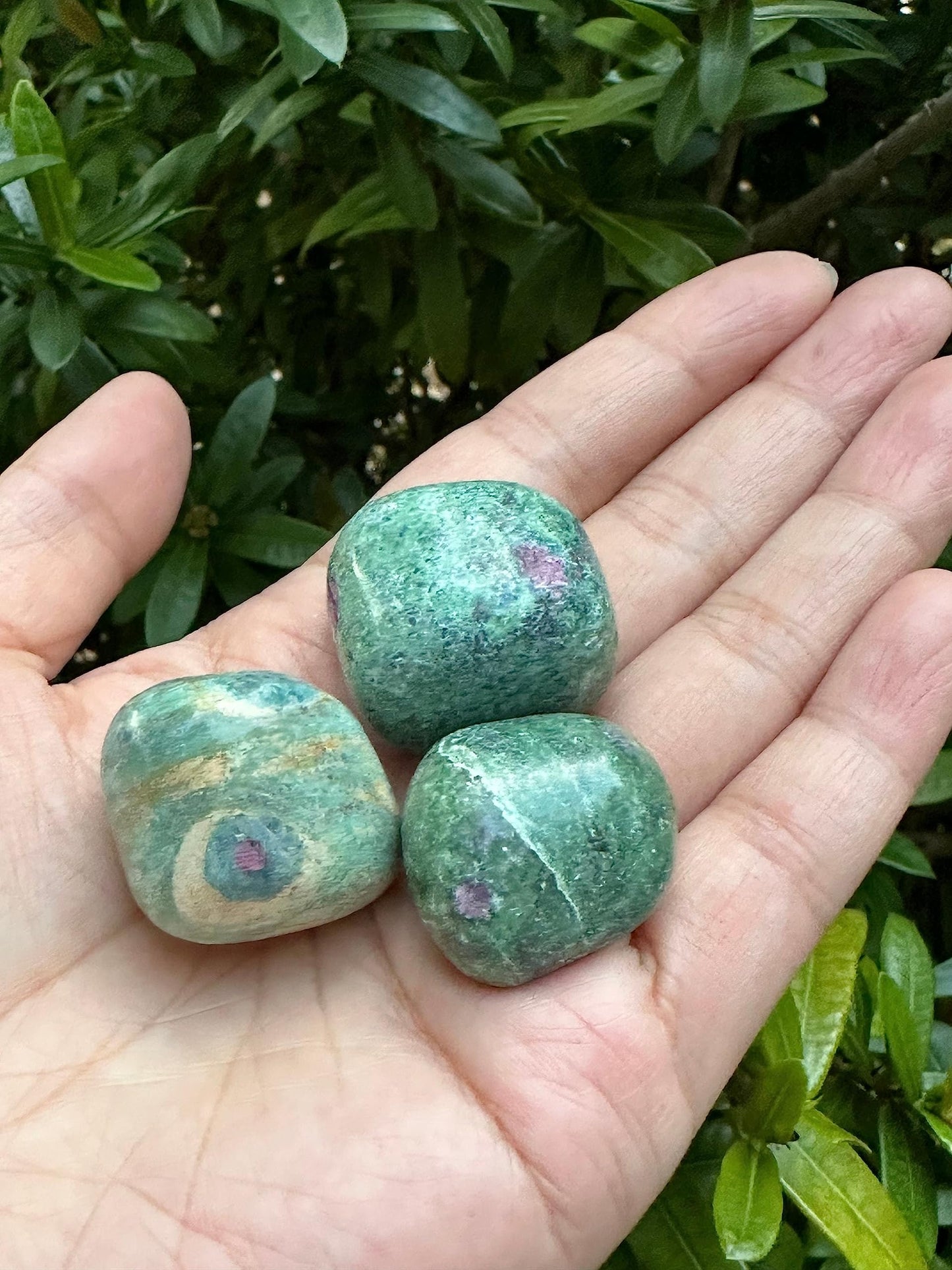 GAF TREASURES Wholesale Ruby Fuchsite Tumbled Stones, Polished Natural Ruby Fuchsite Gemstone, Ruby Fuchsite Polished Rocks (Ruby Fuchsite, 0.25 Pound)