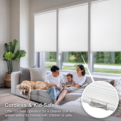 CHICOLOGY Cellular Shades , Window Blinds Cordless , Blinds for Windows , Window Shades for Home , Window Coverings , Cellular Blinds , Door Blinds , Morning Mist, 30"W X 64"H