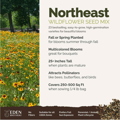 Eden Brothers Northeast Wildflower Mixed Seeds for Planting, 1/4 lb, 120,000+ Seeds with Cosmos, Candytuft, Shasta Daisy | Attracts Pollinators, Plant in Spring or Fall, Zones 3, 4, 5, 6, 7, 8, 9, 10