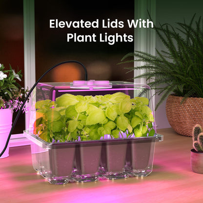 MIXC Seed Starter Kit with Grow Light, Elevated Seedling Tray Kit with Adjustable Humidity Dome and Clear Cell Tray, 12 Full Spectrum Led Beads for Seed Starting Greenhouse, 4 Pack, Transparent