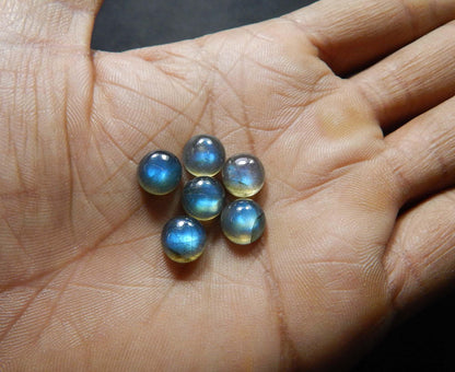 Myhealingworld 9 MM Round Blue Fire AAA Quality Natural Labradorite Calibrated Cabochon Loose Gemstone For Jewelry Making Loose Gemstone 6 pcs Box