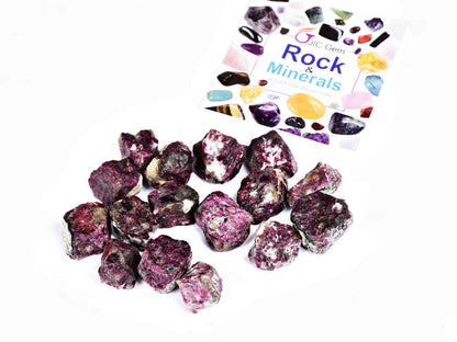 JIC Gem 12-16Pcs 0.7 Lbs irregular shape unpolished raw Madagascar natural Pink Tourmaline Quartz Crystals and Healing Stones,0.32KG Gemstone Crystal Bulk rough Stones