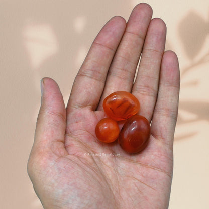 Amazing Gemstone Carnelian Crystals and Healing Stones Tumbled - 1 oz Carnelian Stone Gem Stones, Natural Healing Stones for Energy Balance, Stress Relief - Premium Polished Gems Rocks for Meditation