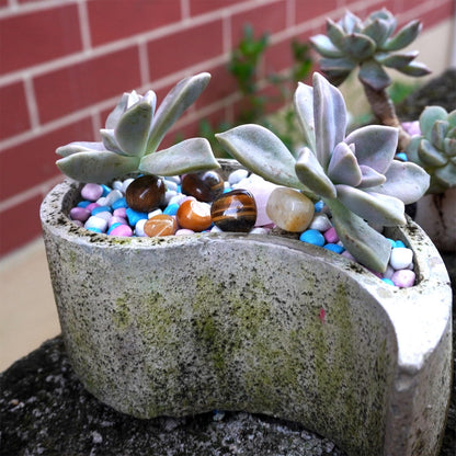 Sisamn Natural Vase Filler Tumbled Stones Bulk Polished Crystal Points Decorative Pebbles 0.9lb -Tumbled Gemstones for Home Decor, Fish Turtle Tank, Plants Decor, Jewelry Making, Reiki Healing