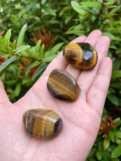 GAF TREASURES Wholesale Tiger Eye Tumbled Stones, Polished Natural Tiger Eye Gemstone, Tiger Eye Polished Rocks (Tiger Eye, 0.25 Pound)