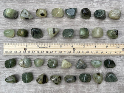 GAF TREASURES 5 Pcs Prehnite with Rutile Tumbled Stones, Polished Natural Prehnite with Rutile Gemstone, Prehnite with Rutile Healing Crystals (Prehnite with Rutile)