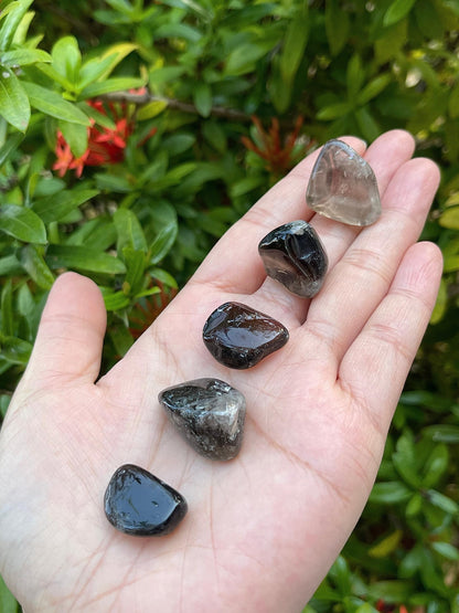 GAF TREASURES 5 Pcs Smoky Quartz Tumbled Stones, Polished Smoky Quartz Gemstone, Smoky Quartz Healing Crystals (Smoky Quartz)