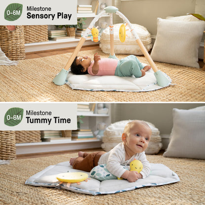 Ingenuity Tummy-to-Toes 6-in-1 Milestone Center, Play Gym, Foldable Mat, Music and Nature Sounds, Lights, Activity Jumper, Table, Playhouse, for Ages 0-48 Months