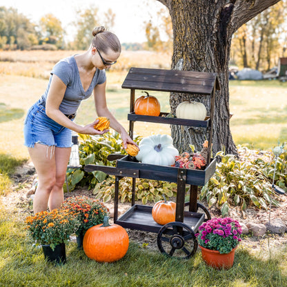 Sunnydaze Country Market Flower Cart Display Stand with Wheels - 2 Shelves - Fir Wood - 30 lb Weight Capacity - Charred Fir