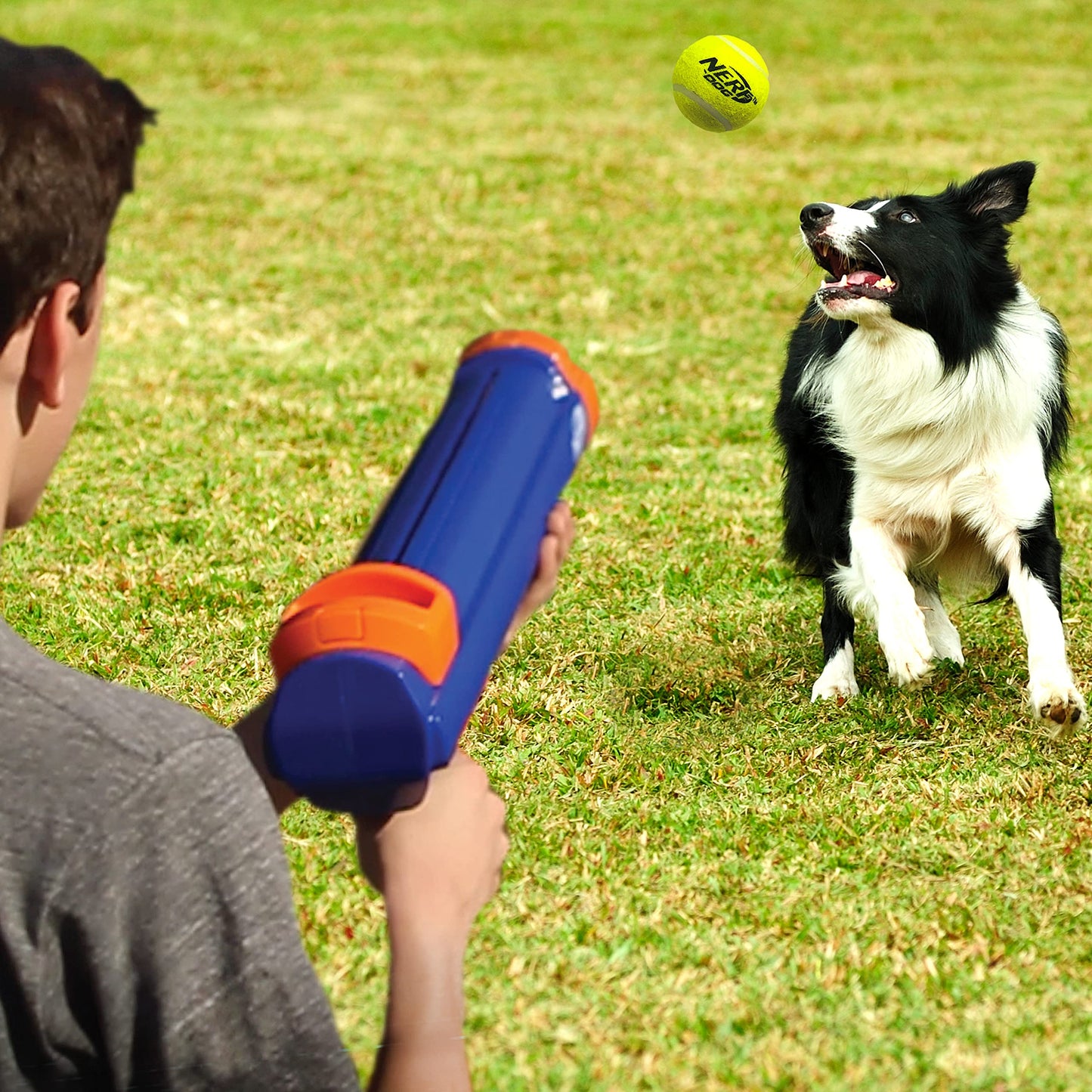 Nerf Dog 12in Blaster w/o Ball Clip 3 2in Squeak Tennis Balls - Opaque Blue/Orange/Gray and Orange and Blue and Green, Small