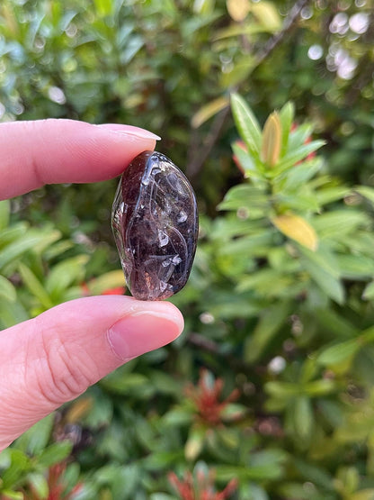 GAF TREASURES 5 Pcs Smoky Quartz Tumbled Stones, Polished Smoky Quartz Gemstone, Smoky Quartz Healing Crystals (Smoky Quartz)