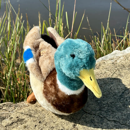 The Petting Zoo Duck Stuffed Animal Plushie, Gifts for Kids, Wild Onez Wildlife Animals, Duck Plush Toy, 12 inches