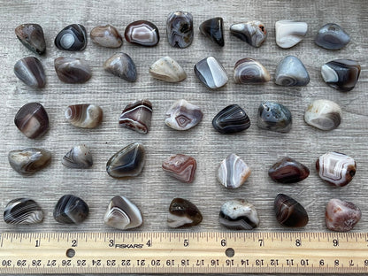GAF TREASURES 5 Pcs Botswana Agate Tumbled Stones, Polished Natural Botswana Agate Gemstone, Botswana Agate Healing Crystals (Botswana Agate)
