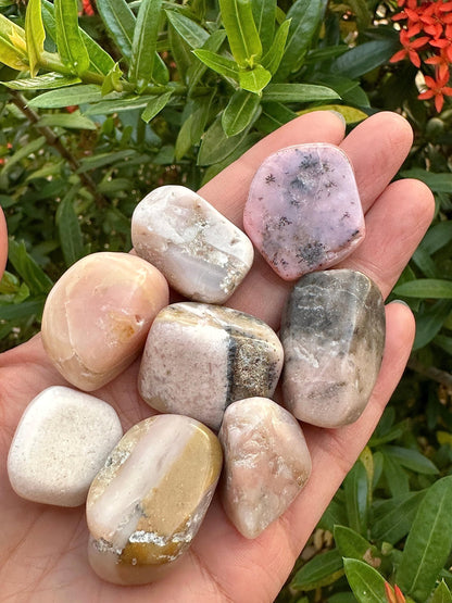 GAF TREASURES 5 Pcs Pink Opal Tumbled Stones, Polished Pink Opal Gemstone, Pink Opal Healing Crystals (Pink Opal)