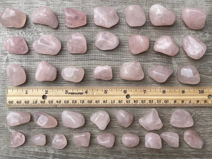 GAF TREASURES 5 Pcs Tumbled Rose Quartz Stones, Polished Quartz Healing Crystals