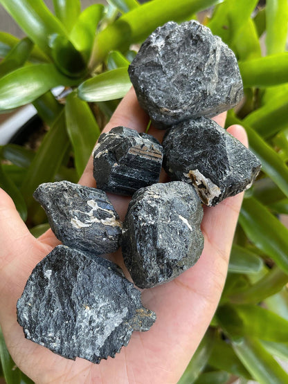 GAF TREASURES Wholesale Raw Black Tourmaline Crystals, Natural Black Tourmaline Stone, Black Tourmaline Rough, Healing Crystals (Black Tourmaline, 0.5 Pound)