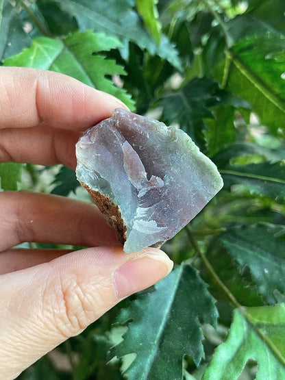 GAF TREASURES Wholesale Raw Bloodstone Crystals, Natural Bloodstone Stone, Natural Rough Bloodstone Crystals, Bloodstone Rough, Bloodstone Healing Crystals (Bloodstone, 0.5 Pound)