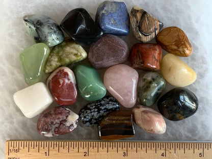 WHOLESALE Assorted Tumbled Stones, Polished Natural Assorted Gemstone, Assorted Polished Rocks (Assorted, 0.25 Pound)