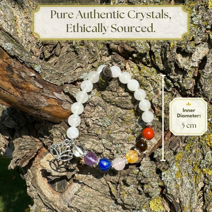 Anima Premium 7 Chakra Bracelets for Women - Medium 8mm Beads Real Healing Crystals and Stones Perfect for Balance, Energy, and Abundance - with Lotus Flower and Charged Energy Card