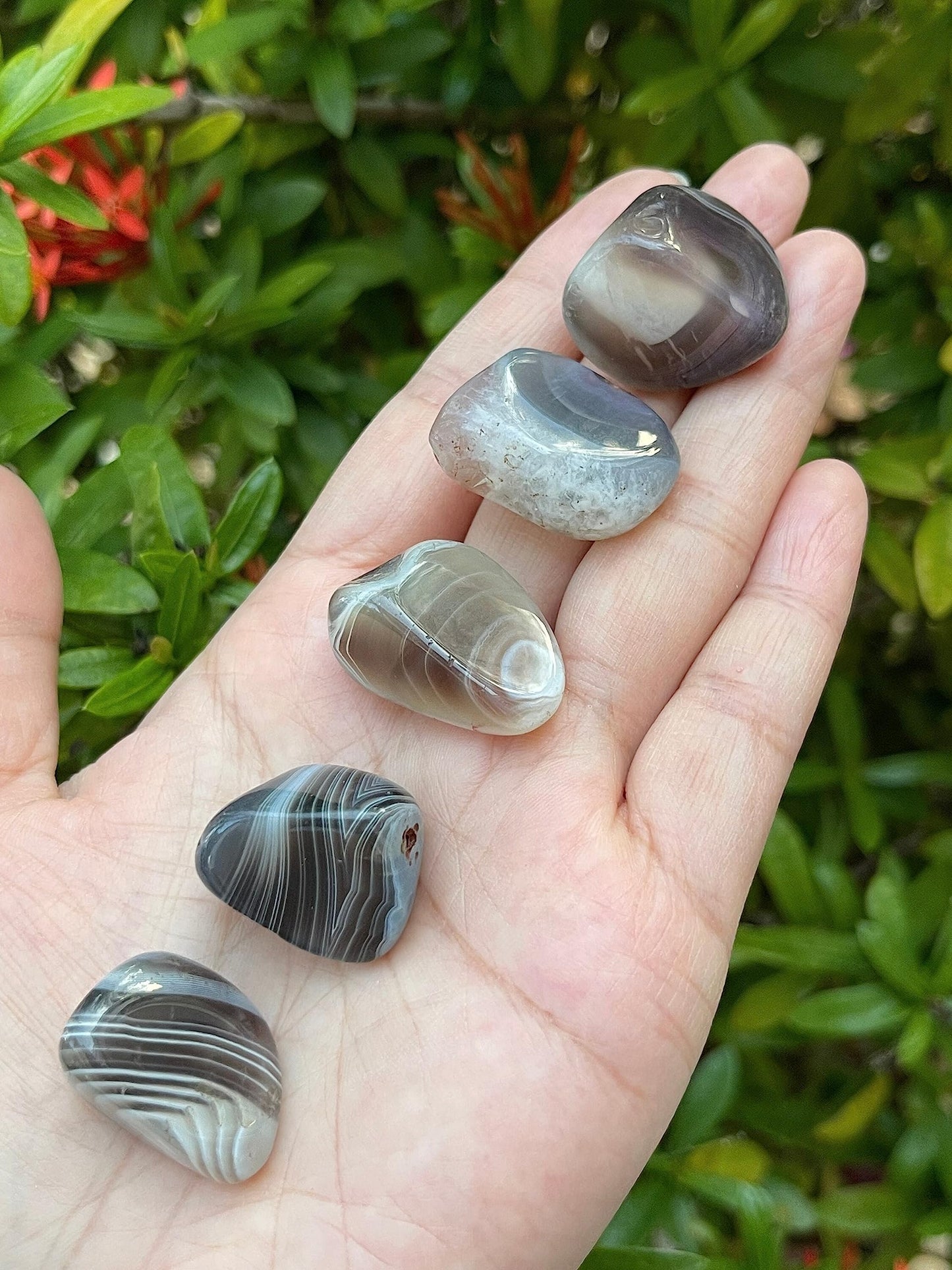 GAF TREASURES 5 Pcs Botswana Agate Tumbled Stones, Polished Natural Botswana Agate Gemstone, Botswana Agate Healing Crystals (Botswana Agate)