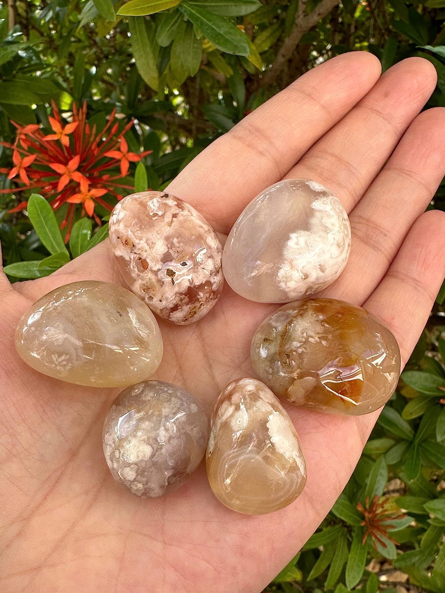 Wholesale Polished Flower Agate Tumbled Stones (0.25 Pound)